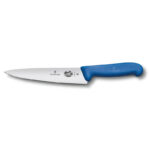 Kitchen knife with blue plastic handle